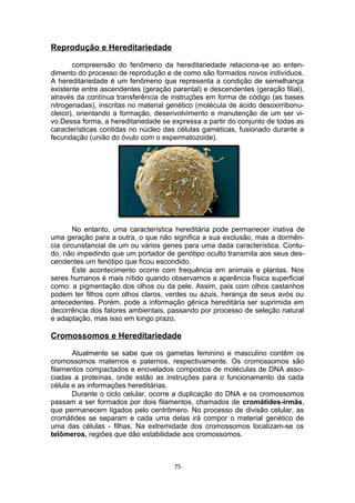 Reprodução e Hereditariedade
compreensão do fenômeno da hereditariedade relaciona-se ao enten-
dimento do processo de reprodução e de como são formados novos indivíduos.
A hereditariedade é um fenômeno que representa a condição de semelhança
existente entre ascendentes (geração parental) e descendentes (geração filial),
através da contínua transferência de instruções em forma de código (as bases
nitrogenadas), inscritas no material genético (molécula de ácido desoxirribonu-
cleico), orientando a formação, desenvolvimento e manutenção de um ser vi-
vo.Dessa forma, a hereditariedade se expressa a partir do conjunto de todas as
características contidas no núcleo das células gaméticas, fusionado durante a
fecundação (união do óvulo com o espermatozoide).
No entanto, uma característica hereditária pode permanecer inativa de
uma geração para a outra, o que não significa a sua exclusão, mas a dormên-
cia circunstancial de um ou vários genes para uma dada característica. Contu-
do, não impedindo que um portador de genótipo oculto transmita aos seus des-
cendentes um fenótipo que ficou escondido.
Este acontecimento ocorre com frequência em animais e plantas. Nos
seres humanos é mais nítido quando observamos a aparência física superficial
como: a pigmentação dos olhos ou da pele. Assim, pais com olhos castanhos
podem ter filhos com olhos claros, verdes ou azuis, herança de seus avós ou
antecedentes. Porém, pode a informação gênica hereditária ser suprimida em
decorrência dos fatores ambientais, passando por processo de seleção natural
e adaptação, mas isso em longo prazo.
Cromossomos e Hereditariedade
Atualmente se sabe que os gametas feminino e masculino contêm os
cromossomos maternos e paternos, respectivamente. Os cromossomos são
filamentos compactados e enovelados compostos de moléculas de DNA asso-
ciadas a proteínas, onde estão as instruções para o funcionamento da cada
célula e as informações hereditárias.
Durante o ciclo celular, ocorre a duplicação do DNA e os cromossomos
passam a ser formados por dois filamentos, chamados de cromátides-irmãs,
que permanecem ligados pelo centrômero. No processo de divisão celular, as
cromátides se separam e cada uma delas irá compor o material genético de
uma das células - filhas. Na extremidade dos cromossomos localizam-se os
telômeros, regiões que dão estabilidade aos cromossomos.
75
 
