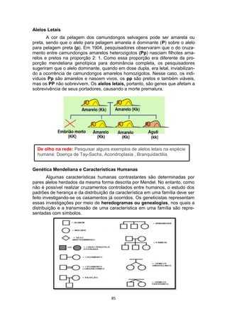 Alelos Letais
A cor da pelagem dos camundongos selvagens pode ser amarela ou
preta, sendo que o alelo para pelagem amarela é dominante (P) sobre o alelo
para pelagem preta (p). Em 1904, pesquisadores observaram que o do cruza-
mento entre camundongos amarelos heterozigotos (Pp) nasciam filhotes ama-
relos e pretos na proporção 2: 1. Como essa proporção era diferente da pro-
porção mendeliana genotípica para dominância completa, os pesquisadores
sugeriram que o alelo dominante, quando em dose dupla, era letal, inviabilizan-
do a ocorrência de camundongos amarelos homozigotos. Nesse caso, os indi-
víduos Pp são amarelos e nascem vivos, os pp são pretos e também viáveis,
mas os PP não sobrevivem. Os alelos letais, portanto, são genes que afetam a
sobrevivência de seus portadores, causando a morte prematura.
De olho na rede: Pesquisar alguns exemplos de alelos letais na espécie
humana: Doença de Tay-Sachs, Acondroplasia , Branquidactilia.
Genética Mendeliana e Características Humanas
Algumas características humanas contrastantes são determinadas por
pares alelos herdados da mesma forma descrita por Mendel. No entanto, como
não é possível realizar cruzamentos controlados entre humanos, o estudo dos
padrões de herança e da distribuição da característica em uma família deve ser
feito investigando-se os casamentos já ocorridos. Os geneticistas representam
essas investigações por meio de heredogramas ou genealogias, nos quais a
distribuição e a transmissão de uma característica em uma família são repre-
sentadas com símbolos.
85
 