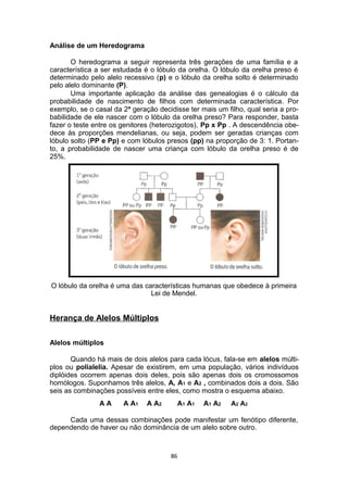 Análise de um Heredograma
O heredograma a seguir representa três gerações de uma família e a
característica a ser estudada é o lóbulo da orelha. O lóbulo da orelha preso é
determinado pelo alelo recessivo (p) e o lóbulo da orelha solto é determinado
pelo alelo dominante (P).
Uma importante aplicação da análise das genealogias é o cálculo da
probabilidade de nascimento de filhos com determinada característica. Por
exemplo, se o casal da 2ª geração decidisse ter mais um filho, qual seria a pro-
babilidade de ele nascer com o lóbulo da orelha preso? Para responder, basta
fazer o teste entre os genitores (heterozigotos), Pp x Pp . A descendência obe-
dece às proporções mendelianas, ou seja, podem ser geradas crianças com
lóbulo solto (PP e Pp) e com lóbulos presos (pp) na proporção de 3: 1. Portan-
to, a probabilidade de nascer uma criança com lóbulo da orelha preso é de
25%.
O lóbulo da orelha é uma das características humanas que obedece à primeira
Lei de Mendel.
Herança de Alelos Múltiplos
Alelos múltiplos
Quando há mais de dois alelos para cada lócus, fala-se em alelos múlti-
plos ou polialelia. Apesar de existirem, em uma população, vários indivíduos
diplóides ocorrem apenas dois deles, pois são apenas dois os cromossomos
homólogos. Suponhamos três alelos, A, A1 e A2 , combinados dois a dois. São
seis as combinações possíveis entre eles, como mostra o esquema abaixo.
A A A A1 A A2 A1 A1 A1 A2 A2 A2
Cada uma dessas combinações pode manifestar um fenótipo diferente,
dependendo de haver ou não dominância de um alelo sobre outro.
86
 