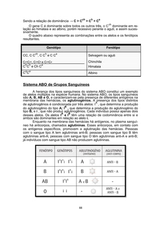 Sendo a relação de dominância → C > C
ch
> C
h
> C
a
O gene C é dominante sobre todos os outros três, o C
ch
dominante em re-
lação ao himalaia e ao albino, porém recessivo perante o aguti, e assim suces-
sivamente.
O quadro abaixo representa as combinações entre os alelos e os fenótipos
resultantes.
Genótipo Fenótipo
CC, C C
ch
, C C
h
e C C
a
Selvagem ou aguti
CchCch, CchCh e CchCa Chinchila
C
h
C
h
e Ch C
a
Himalaia
C
a
C
a
Albino
Sistema ABO de Grupos Sanguíneos
A herança dos tipos sanguíneos do sistema ABO constitui um exemplo
de alelos múltiplos na espécie humana. No sistema ABO, os tipos sanguíneos
são A, B, AB e O, e caracterizam-se pela presença de diferentes antígenos na
membrana das hemácias, os aglutinogênios. A presença dos tipos distintos
de aglutinogênios é condicionada por três alelos: I
A
, que determina a produção
do aglutinogênio do tipo A; I
B
, que determina a produção do aglutinogênio do
tipo B, e i , que não produz aglutinogênios. Cada indivíduo possui apenas dois
desses alelos. Os alelos I
A
e I
B
têm uma relação de codominância entre si e
ambos são dominantes em relação ao alelo i.
Enquanto na membrana das hemácias há antígenos, no plasma sanguí-
neo há anticorpos, chamados aglutininas. Esses anticorpos, em contato com
os antígenos específicos, promovem a aglutinação das hemácias. Pessoas
com o sangue tipo A tem aglutininas anti-B; pessoas com sangue tipo B têm
aglutininas anti-A; pessoas com sangue tipo O têm aglutininas anti-A e anti-B;
já indivíduos com sangue tipo AB não produzem aglutininas.
88
 