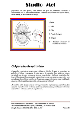 Studio Mel
Rua Valparaíso, 83 / 302 - Bairro - Tijuca. Cidade Rio de Janeiro
TELEFONES PARA CONTATO : (0 21) 3283 3000 / (0 21) 8344 4808
Direção Maestro ERNESTO LEAL - OMB 33.997 Página 21
preparação de uma forma, uma atitude na qual os fenômenos acústicos e
articulatórios vão se realizar normalmente e estarão associados a uma ligeira tensão,
muito difusa, da musculatura da laringe .
__
1-Úvula
2 - Pilar
__ 3 - Pilar
__ 4 - Parede faríngea
___5 - Língua
___6 - Sensação muscular ao
_______nível do véu palatino
O Aparelho Respiratório
O aparelho respiratório compreende o tórax no interior do qual se encontram os
pulmões. O tórax e composto de doze pares de costelas. fixas atrás na coluna
vertebral, que formam uma curva côncava para dentro e inclinada para baixo. Por
intermédio das cartilagens costais. elas se inserem no osso esterno. na frente. com
exceção das duas últimas costelas. as flutuantes. que permitem uma maior mobilidade
da parte. inferior do tórax no sentido antero-posterior e lateral
.As costelas estão ligadas umas as outras por músculos inspiradores e expiradores. Um
conjunto muscular muito poderoso recobre a caixa torácica e permite os movimentos
necessários a entrada e saída do ar pulmonar .
 