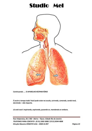 Studio Mel
Rua Valparaíso, 83 / 302 - Bairro - Tijuca. Cidade Rio de Janeiro
TELEFONES PARA CONTATO : (0 21) 3283 3000 / (0 21) 8344 4808
Direção Maestro ERNESTO LEAL - OMB 33.997 Página 23
Continuando .... O APARELHO RESPIRATÓRIO
É assim o tempo todo! Você pode estar na escola, correndo, comendo, vendo tevê,
dormindo – não importa.
Lá está você: inspirando, expirando, puxando ar, mandando ar embora.
 