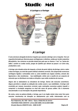 Studio Mel
Rua Valparaíso, 83 / 302 - Bairro - Tijuca. Cidade Rio de Janeiro
TELEFONES PARA CONTATO : (0 21) 3283 3000 / (0 21) 8344 4808
Direção Maestro ERNESTO LEAL - OMB 33.997 Página 28
A Laringe e a Faringe
A Laringe
É uma estrutura alongada de forma irregular que conecta a faringe com a traquéia. Tem um
esqueleto formado por diversas peças cartilaginosas e elásticas, unidas por tecido conjuntivo
fibroelástico. Seu contorno se percebe desde fora pelo que se chama a "noz" ou "pomo-de-
adão"; contém as cordas vocais, pregas de epitélio que vibram ao passar o ar entre elas,
produzindo o som.
A laringe esta situada acima da traqueia, a frente da parte inferior da faringe, atrás e sobre
a base da língua, ao nível das quatro últimas vértebras cervicais. Ela compreende numerosas
cartilagens ligadas e articuladas entre si, como também aos órgaos vizinhos, através dos
ligamentos e das membranas . Sua mobilização e feita com o auxilio de um conjunto de
músculos que se distribuem em todas as direções e que estão recobertos de mucosa.
Alguns são os abaixadores ou elevadores da laringe. Outros são músculos constritores.
Alguns permitem a adução ou abdução das cordas vocais e sua mobilidade. A laringe está
envolvida por massas musculares cervicais cujas contrações excessivas podem impedir e
comprimir a circulação sanguinea no nível dos vasos de grosso calibre. Ela é ricamente
vascularizada e a sua inervação é de grande importância.
No canto, como na palavra falada, a laringe, que é um órgão móvel, deve estar livre para
executar movimentos de elevação ou abaixamento que estão relacionados com as
 