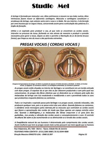 Studio Mel
Rua Valparaíso, 83 / 302 - Bairro - Tijuca. Cidade Rio de Janeiro
TELEFONES PARA CONTATO : (0 21) 3283 3000 / (0 21) 8344 4808
Direção Maestro ERNESTO LEAL - OMB 33.997 Página 31
A laringe é formada por músculos: uns, ditos extrínsecos a movem no seu todo; outros, ditos
intrínsecos fazem mover as diferentes cartilagens. Músculos e cartilagens constituem o
arcabouço da laringe, cujo volume varia com o sexo e a idade. No seu interior, é ela forrada
por uma mucosa que se segue à boca, concorrendo assim para a articulação das palavras.É o
órgão da fonação.
Utiliza o ar expirado para produzir a voz, já que nela se encontram as cordas vocais.
Intervém no processo da tosse, fechando as vias aéreas de maneira a produzir a pressão
necessária para gerar a tosse, depois se abre e permite a libertação do ar de forma brusca
(tosse), que limpa as vias do muco e das partículas estranhas.
PREGAS VOCAIS ( CORDAS VOCAIS )
Imagens laringoscópicas da laringe. A)-Glote na posição de repouso; B) Glote durante a atividade. 1)-Glote; 2)-Cordas
vocais; 3)-Epiglote; 4)-Comissura anterior; 5)-Cartilagens aritenóides; 6)-Comissura posterior.
As pregas vocais estão situadas no interior da laringe e se constituem em um tecido esticado
com duas pregas. O expulsar do ar por elas as faz vibrarem produzindo o som pelo qual nos
comunicamos. As pregas são fibras elásticas que se distendem ou se relaxam pela ação dos
músculos da laringe com isso modulando e modificando o som e permitindo todos os sons
que produzimos enquanto falamos ou cantamos.
Todo o ar inspirado e expirado passa pela laringe e as pregas vocais, estando relaxadas, não
produzem qualquer som, pois o ar passa entre elas sem vibrar. Quando falamos ou cantamos,
o cérebro envia mensagens pelos nervos até os músculos que controlam as cordas vocais
que fazem a aproximação das cordas de modo que fique apenas um espaço estreito entre
elas. Quando o diafragma e os músculos do tórax empurram o ar para fora dos
pulmões , isso produz a vibração das cordas vocais e conseqüentemente o som. O controle
da altura do som se faz aumentando-se ou diminuindo-se a tensão das cordas vocais.
A freqüência natural da voz humana é determinada pelo comprimento das cordas vocais.
Assim mulheres que tem as pregas vocais mais curtas possuem voz mais aguda que os homens
 