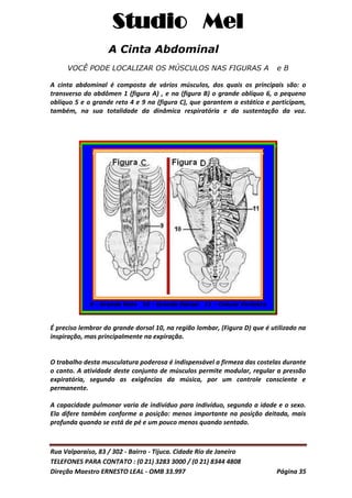 Studio Mel
Rua Valparaíso, 83 / 302 - Bairro - Tijuca. Cidade Rio de Janeiro
TELEFONES PARA CONTATO : (0 21) 3283 3000 / (0 21) 8344 4808
Direção Maestro ERNESTO LEAL - OMB 33.997 Página 35
A Cinta Abdominal
VOCÊ PODE LOCALIZAR OS MÚSCULOS NAS FIGURAS A e B
A cinta abdominal é composta de vários músculos, dos quais os principais são: o
transverso do abdômen 1 (figura A) , e na (figura B) o grande oblíquo 6, o pequeno
oblíquo 5 e o grande reto 4 e 9 na (figura C), que garantem a estática e participam,
também, na sua totalidade da dinâmica respiratória e da sustentação da voz.
9 - Grande Reto 10 - Grande Dorsal _11 - Coluna Vertebra
É preciso lembrar do grande dorsal 10, na região lombar, (Figura D) que é utilizado na
inspiração, mas principalmente na expiração.
O trabalho desta musculatura poderosa é indispensável a firmeza das costelas durante
o canto. A atividade deste conjunto de músculos permite modular, regular a pressão
expiratória, segundo as exigências da música, por um controle consciente e
permanente.
A capacidade pulmonar varia de indivíduo para indivíduo, segundo a idade e o sexo.
Ela difere também conforme a posição: menos importante na posição deitada, mais
profunda quando se está de pé e um pouco menos quando sentado.
 