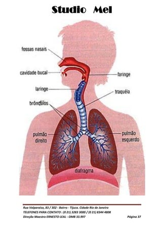 Studio Mel
Rua Valparaíso, 83 / 302 - Bairro - Tijuca. Cidade Rio de Janeiro
TELEFONES PARA CONTATO : (0 21) 3283 3000 / (0 21) 8344 4808
Direção Maestro ERNESTO LEAL - OMB 33.997 Página 37
 