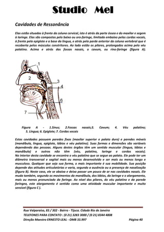Studio Mel
Rua Valparaíso, 83 / 302 - Bairro - Tijuca. Cidade Rio de Janeiro
TELEFONES PARA CONTATO : (0 21) 3283 3000 / (0 21) 8344 4808
Direção Maestro ERNESTO LEAL - OMB 33.997 Página 40
Cavidades de Ressonância
Elas estão situadas à frente da coluna cervical, isto é atrás da parte óssea e do maxilar e segem
à laringe. Elas são compostas pelo baixo ou oro-faringe, limitada embaixo pelas cordas vocais,
à frente pela epiglote e a base da língua, e atrás pela parde anterior da coluna vertebral que é
recoberta pelos músculos constritores. Ao lado estão os pilares, prolongados acima pelo véu
palatino. Acima e atrás das fossas nasais, o cavum, ou rino-faringe (figura A).
____Figura A - 1.Sinus; 2.Fossas nasais;3. Cavum; 4. Véu palatino;
______ 5. Língua; 6. Epiglote; 7. Cordas vocais
Estas cavidades possuem paredes fixas (maxilar superior e palato duro) e paredes móveis
(mandíbula, língua, epiglote, lábios e véu palatino). Suas formas e dimensões são variáveis
dependendo das pessoas. Alguns destes órgãos têm um sentido muscular (língua, lábios e
mandíbula) e outros não têm (véu, palatino, laringe e cordas vocais).
No interior desta cavidade se encontra o véu palatino que se segue ao palato. Ele pode ter um
diâmetro transversal e sagital mais ou menos desenvolvido e ser mais ou menos longo e
musculoso. Qualquer que seja sua forma, o mais importante é sua mobilidade. Sua posição
depende das atitudes articulatórias e varia, segundo a ausência ou a presença de nasalização
(figura B). Neste caso, ele se abaixa e deixa passar um pouco de ar nas cavidades nasais. Ele
muda também, segundo os movimentos da mandíbula, dos lábios, da laringe e o alargamento,
mais ou menos pronunciado da faringe. Ao nível dos pilares, do véu palatino e da parede
faríngea, este alargamento é sentido como uma atividade muscular importante e muito
sensível (figura C ).
 