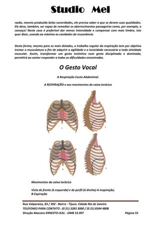 Studio Mel
Rua Valparaíso, 83 / 302 - Bairro - Tijuca. Cidade Rio de Janeiro
TELEFONES PARA CONTATO : (0 21) 3283 3000 / (0 21) 8344 4808
Direção Maestro ERNESTO LEAL - OMB 33.997 Página 55
razão, mesmo produzido belas sonoridades, ele precisa saber a que se devem suas qualidades.
Ele deve, também, ser capaz de remediar os aborrecimentos passageiros como, por exemplo, o
cansaço! Neste caso é preferível dar menos intensidade e compensar com mais timbre, isto
quer dizer, usando ao máximo as cavidades de ressonância.
Desta forma, mesmo para os mais dotados, o trabalho regular da respiração tem por objetivo
treinar a musculatura a fim de adquirir a agilidade e a tonicidade necessária a toda atividade
muscular. Assim, transformar um gesto instintivo num gesto disciplinado e dominado,
permitirá ao cantor responder a todas as dificuldades encontradas.
O Gesto Vocal
A Respiração Costo-Abdominal.
A RESPIRAÇÃO e aos movimentos da caixa torácica
Movimentos da caixa torácica
Vista de frente (à esquerda) e de perfil (à direita) A-Inspiração;
B-Expiração
 