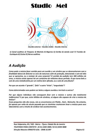 Studio Mel
Rua Valparaíso, 83 / 302 - Bairro - Tijuca. Cidade Rio de Janeiro
TELEFONES PARA CONTATO : (0 21) 3283 3000 / (0 21) 8344 4808
Direção Maestro ERNESTO LEAL - OMB 33.997 Página 61
Ouvido externo - Ouvido médio - Ouvido interno
1) Canal auditivo 2) Tímpano 3) Martelo 4) Bigorna 5) Estribo 6) Janela oval 7) Tromba de
Eustáquio 8) Cóclea 9) Nervo auditivo
A Audição
Como pode a música fazer sentido para um ouvido e um cérebro que se desenvolveram com a
finalidade básica de detectar os sons da natureza a fim de proteção, detectando o som do leão
que se aproxima, ou o rastejar de uma serpente? O sentido da audição tem 300 milhões de
anos, a música existe apenas há um centésimo de milésimo desse período. O que torna belo o
som de uma melodia feita por um violino bem afinado, ou o solo de uma flauta?
Por que um acorde é “grande”, “feliz” e outro “triste”, “angustiado”?
Como determinados sons podem ser belos a alguns ouvidos e terríveis a outros?
Por que alguns indivíduos não conseguem ficar sem a música e outros são totalmente
indiferentes? E por que, entre bilhões de cérebros, só alguns são capazes de criar a música do
êxtase?
Essas perguntas não são novas, nós as encontramos em Platão , Kant , Nietzsche. No entanto,
foi apenas por volta do século passado que os cientistas resolveram levar a música para seus
laboratórios com o intuito de verificar tais acontecimentos.
 
