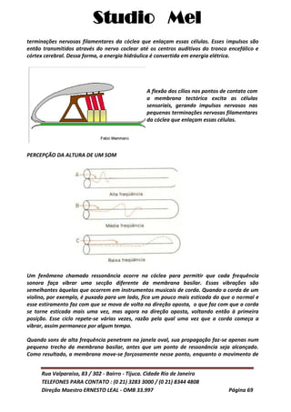 Studio Mel
Rua Valparaíso, 83 / 302 - Bairro - Tijuca. Cidade Rio de Janeiro
TELEFONES PARA CONTATO : (0 21) 3283 3000 / (0 21) 8344 4808
Direção Maestro ERNESTO LEAL - OMB 33.997 Página 69
terminações nervosas filamentares da cóclea que enlaçam essas células. Esses impulsos são
então transmitidos através do nervo coclear até os centros auditivos do tronco encefálico e
córtex cerebral. Dessa forma, a energia hidráulica é convertida em energia elétrica.
A flexão dos cílios nos pontos de contato com
a membrana tectórica excita as células
sensoriais, gerando impulsos nervosos nas
pequenas terminações nervosas filamentares
da cóclea que enlaçam essas células.
PERCEPÇÃO DA ALTURA DE UM SOM
Um fenômeno chamado ressonância ocorre na cóclea para permitir que cada frequência
sonora faça vibrar uma secção diferente da membrana basilar. Essas vibrações são
semelhantes àquelas que ocorrem em instrumentos musicais de corda. Quando a corda de um
violino, por exemplo, é puxada para um lado, fica um pouco mais esticada do que o normal e
esse estiramento faz com que se mova de volta na direção oposta, o que faz com que a corda
se torne esticada mais uma vez, mas agora na direção oposta, voltando então à primeira
posição. Esse ciclo repete-se várias vezes, razão pela qual uma vez que a corda começa a
vibrar, assim permanece por algum tempo.
Quando sons de alta frequência penetram na janela oval, sua propagação faz-se apenas num
pequeno trecho da membrana basilar, antes que um ponto de ressonância seja alcançado.
Como resultado, a membrana move-se forçosamente nesse ponto, enquanto o movimento de
 
