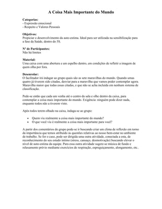 A Coisa Mais Importante do Mundo
Categorias:
- Expressão emocional
- Respeito e Valores Pessoais
Objetivos:
Propiciar o desenvolvimento da auto-estima. Ideal para ser utilizada na sensibilização para
a fase da Saúde, dentro do 5S.
Nº de Participantes:
Não há limites
Material:
Uma caixa com uma abertura e um espelho dentro, em condições de refletir a imagem de
quem olha por fora.
Desenrolar:
O facilitador irá indagar ao grupo quais são as sete maravilhas do mundo. Quando umas
quatro já tiverem sido citadas, desviar para a maravilha que vamos poder contemplar agora.
Maravilha maior que todas essas citadas, e que não se acha incluída em nenhum sistema de
classificação.
Pede-se então que cada um venha até o centro da sala e olhe dentro da caixa, para
contemplar a coisa mais importante do mundo. Exigência: ninguém pode dizer nada,
enquanto todos não a tiverem visto.
Após todos terem olhado na caixa, indaga-se ao grupo:
• Quem viu realmente a coisa mais importante do mundo?
• O que você viu é realmente a coisa mais importante para você?
A partir dos comentários do grupo pode-se ir buscando criar um clima de reflexão em torno
da importância que temos atribuído às questões relativas ao nosso bem-estar no ambiente
de trabalho. Se for o caso, pode ser dirigida uma outra atividade, conectada a esta, de
reconhecimento do seu estado intimo (stress, cansaço, desmotivação) buscando elevar o
nível de auto-estima da equipe. Para essa outra atividade sugere-se música de fundo e
relaxamento prévio mediante exercícios de respiração, espreguiçamento, alongamento, etc..
 