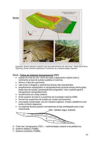 60
Wedge
Esquerda: Arenito estuarino (arenito sujo) de preenchimento de vale inciso - Bacia Wind River,
Wyoming. Direita: Arenitos turbidíticos e mudstones de Lowstand wedge, Espanha.
10.5.2 - Tratos de sistemas transgressivos (TST)
• subida do nível do mar / linha de costa e depocentro migram para o
continente (a taxa de subida eustática é máxima).
• diminui a taxa de suprimento;
• vale inciso é afogado e sedimentos fluviais são meandrantes;
• empilhamento estratigráfico é retrogradacional (durante breves diminuições
desta taxa de subida, paraseqüências progradam, mas o padrão geral é
transgressivo retrogradacional);
• recobrimento em onlap costeiro;
• limite superior do trato é a superfície de inundação máxima (SIM);
• formam-se superfícies de erosão por ondas (ravinamento).
• uma seção condensada, rica em material orgânico, invade a plataforma (em
verde no bloco diagrama)
• os sistemas fluviais passam normalmente do tipo entrelaçado para o tipo
meandrante.
3 – Trato sist. transgressivo (TST) → sedimentação costeira e de plataforma;
2 – Sistema deltáico (TSMB);
1 – Sistema turbidítico (TSMB);
 