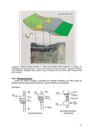 63
Fotografia. Mostra 3 fácies distintas. 1 - Seção condensada: oólitos fosfáticos. 2. Conjunto de
paraseqüências progradacionais. Fácies fina recoberta por fácies arenosa. Highstand Systems
Tract, Membros Castlegate, Buck tongue e Sego, Formação Price River, Book Cliffs, Douglas Creek
Arch,Colorado.
10.6 - Parassequências
Ciclos de menor duração, sucessão de estratos limitados por SIM, pode ter
padrão textural de granodecrescência / granocrescência ascendente.
Exemplos:
granodecrescência
granocrescência ascendente
 