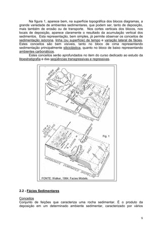 9
Na figura 1, aparece bem, na superfície topográfica dos blocos diagramas, a
grande variedade de ambientes sedimentares, que podem ser, tanto de deposição,
mais também de erosão ou de transporte. Nos cortes verticais dos blocos, nos
locais de deposição, aparece claramente o resultado da acumulação vertical dos
sedimentos. Esta representação, bem simples, já permite observar os conceitos de
sedimentação isócrona, linha (ou superfície) de tempo e variação lateral de fácies.
Estes conceitos são bem visíveis, tanto no bloco de cima representando
sedimentação principalmente siliciclástica, quanto no bloco de baixo representando
ambientes carbonáticos.
Estes conceitos serão aprofundados no item do curso dedicado ao estudo da
litoestratigrafia e das seqüências transgressivas e regressivas.
2.2 - Fácies Sedimentares
Conceitos
Conjunto de feições que caracteriza uma rocha sedimentar. É o produto da
deposição em um determinado ambiente sedimentar, caracterizado por vários
FONTE: Walker, 1984. Facies Models.
Fig. 1
 