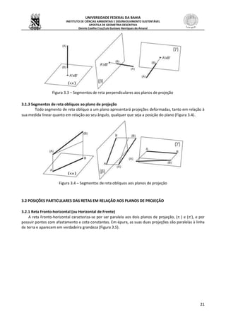 UNIVERSIDADE FEDERAL DA BAHIA
INSTITUTO DE CIÊNCIAS AMBIENTAIS E DESENVOLVIMENTO SUSTENTÁVEL
APOSTILA DE GEOMETRIA DESCRITIVA
Dennis Coelho Cruz/Luís Gustavo Henriques do Amaral
21
Figura 3.3 – Segmentos de reta perpendiculares aos planos de projeção
3.1.3 Segmentos de reta oblíquos ao plano de projeção
Todo segmento de reta oblíquo a um plano apresentará projeções deformadas, tanto em relação à
sua medida linear quanto em relação ao seu ângulo, qualquer que seja a posição do plano (Figura 3.4).
Figura 3.4 – Segmentos de reta oblíquos aos planos de projeção
3.2 POSIÇÕES PARTICULARES DAS RETAS EM RELAÇÃO AOS PLANOS DE PROJEÇÃO
3.2.1 Reta Fronto-horizontal (ou Horizontal de Frente)
A reta Fronto-horizontal caracteriza-se por ser paralela aos dois planos de projeção, ( ) e (’), e por
possuir pontos com afastamento e cota constantes. Em épura, as suas duas projeções são paralelas à linha
de terra e aparecem em verdadeira grandeza (Figura 3.5).
 