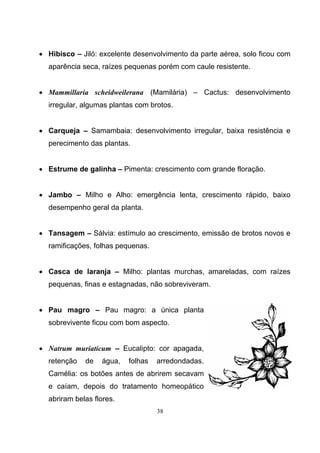 38
• Hibisco – Jiló: excelente desenvolvimento da parte aérea, solo ficou com
aparência seca, raízes pequenas porém com caule resistente.
• Mammillaria scheidweilerana (Mamilária) – Cactus: desenvolvimento
irregular, algumas plantas com brotos.
• Carqueja – Samambaia: desenvolvimento irregular, baixa resistência e
perecimento das plantas.
• Estrume de galinha – Pimenta: crescimento com grande floração.
• Jambo – Milho e Alho: emergência lenta, crescimento rápido, baixo
desempenho geral da planta.
• Tansagem – Sálvia: estímulo ao crescimento, emissão de brotos novos e
ramificações, folhas pequenas.
• Casca de laranja – Milho: plantas murchas, amareladas, com raízes
pequenas, finas e estagnadas, não sobreviveram.
• Pau magro – Pau magro: a única planta
sobrevivente ficou com bom aspecto.
• Natrum muriaticum – Eucalipto: cor apagada,
retenção de água, folhas arredondadas.
Camélia: os botões antes de abrirem secavam
e caíam, depois do tratamento homeopático
abriram belas flores.
 