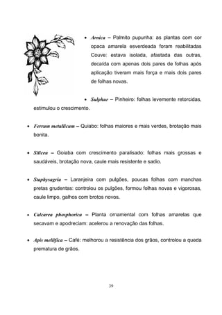 39
• Arnica – Palmito pupunha: as plantas com cor
opaca amarela esverdeada foram reabilitadas
Couve: estava isolada, afastada das outras,
decaída com apenas dois pares de folhas após
aplicação tiveram mais força e mais dois pares
de folhas novas.
• Sulphur – Pinheiro: folhas levemente retorcidas,
estimulou o crescimento.
• Ferrum metallicum – Quiabo: folhas maiores e mais verdes, brotação mais
bonita.
• Silicea – Goiaba com crescimento paralisado: folhas mais grossas e
saudáveis, brotação nova, caule mais resistente e sadio.
• Staphysagria – Laranjeira com pulgões, poucas folhas com manchas
pretas grudentas: controlou os pulgões, formou folhas novas e vigorosas,
caule limpo, galhos com brotos novos.
• Calcarea phosphorica – Planta ornamental com folhas amarelas que
secavam e apodreciam: acelerou a renovação das folhas.
• Apis mellifica – Café: melhorou a resistência dos grãos, controlou a queda
prematura de grãos.
 