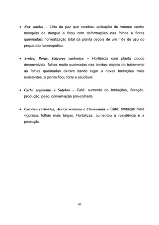 40
• Nux vomica – Lírio da paz que recebeu aplicação de veneno contra
mosquito da dengue e ficou com deformações nas folhas e flores
queimadas: normalização total da planta depois de um mês de uso do
preparado homeopático.
• Arnica, Borax, Calcarea carbonica – Hortência com planta pouco
desenvolvida, folhas muito queimadas nas bordas: depois do tratamento
as folhas queimadas caíram dando lugar a novas brotações mais
resistentes, a planta ficou forte e saudável.
• Carbo vegetabilis e Sulphur – Café: aumento de brotações, floração,
produção, peso, conservação pós-colheita.
• Calcarea carbonica, Arnica montana e Chamomilla – Café: brotação mais
vigorosa, folhas mais largas. Hortaliças: aumentou a resistência e a
produção.
 
