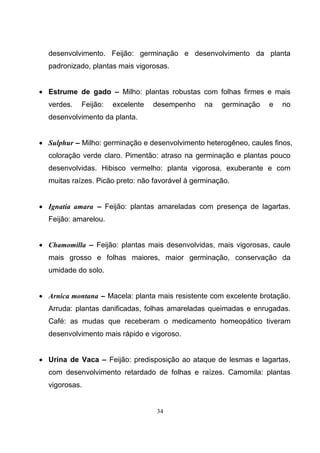 34
desenvolvimento. Feijão: germinação e desenvolvimento da planta
padronizado, plantas mais vigorosas.
• Estrume de gado – Milho: plantas robustas com folhas firmes e mais
verdes. Feijão: excelente desempenho na germinação e no
desenvolvimento da planta.
• Sulphur – Milho: germinação e desenvolvimento heterogêneo, caules finos,
coloração verde claro. Pimentão: atraso na germinação e plantas pouco
desenvolvidas. Hibisco vermelho: planta vigorosa, exuberante e com
muitas raízes. Picão preto: não favorável à germinação.
• Ignatia amara – Feijão: plantas amareladas com presença de lagartas.
Feijão: amarelou.
• Chamomilla – Feijão: plantas mais desenvolvidas, mais vigorosas, caule
mais grosso e folhas maiores, maior germinação, conservação da
umidade do solo.
• Arnica montana – Macela: planta mais resistente com excelente brotação.
Arruda: plantas danificadas, folhas amareladas queimadas e enrugadas.
Café: as mudas que receberam o medicamento homeopático tiveram
desenvolvimento mais rápido e vigoroso.
• Urina de Vaca – Feijão: predisposição ao ataque de lesmas e lagartas,
com desenvolvimento retardado de folhas e raízes. Camomila: plantas
vigorosas.
 