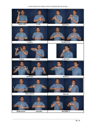 ___________________________________________________________________________________________
CURSO BÁSICO DA LIBRAS (LÍNGUA BRASILEIRA DE SINAIS)
________________________________________________________________________________________
Pg. 43
ABACAXI CAJU BANANA
CAQUI MARACUJÁ
COCO FIGO LARANJA
MAMÃO MANGA
MELANCIA MELÃO
MORANGO GOIABA MEXIRICA
 