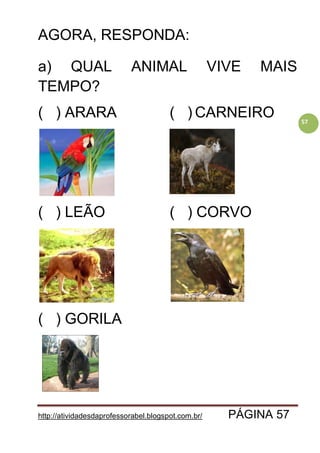 http://atividadesdaprofessorabel.blogspot.com.br/ PÁGINA 57
57
AGORA, RESPONDA:
a) QUAL ANIMAL VIVE MAIS
TEMPO?
( ) ARARA ( ) CARNEIRO
( ) LEÃO ( ) CORVO
( ) GORILA
 