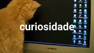 curiosidade
26
 