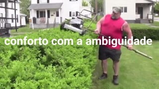 conforto com a ambiguidade
37
 