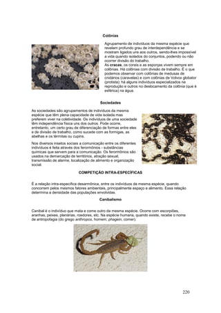 220
Colônias
Agrupamento de indivíduos da mesma espécie que
revelam profundo grau de interdependência e se
mostram ligados uns aos outros, sendo-lhes impossível
a vida quando isolados do conjuntos, podendo ou não
ocorrer divisão do trabalho.
As cracas, os corais e as esponjas vivem sempre em
colônias. Há colônias com divisão de trabalho. É o que
podemos observar com colônias de medusas de
cnidários (caravelas) e com colônias de Volvox globator
(protista): há alguns indivíduos especializados na
reprodução e outros no deslocamento da colônia (que é
esférica) na água.
Sociedades
As sociedades são agrupamentos de indivíduos da mesma
espécie que têm plena capacidade de vida isolada mas
preferem viver na coletividade. Os indivíduos de uma sociedade
têm independência física uns dos outros. Pode ocorre,
entretanto, um certo grau de diferenciação de formas entre eles
e de divisão de trabalho, como sucede com as formigas, as
abelhas e os térmitas ou cupins.
Nos diversos insetos sociais a comunicação entre os diferentes
indivíduos é feita através dos ferormônios - substâncias
químicas que servem para a comunicação. Os ferormônios são
usados na demarcação de territórios, atração sexual,
transmissão de alarme, localização de alimento e organização
social.
COMPETIÇÃO INTRA-ESPECÍFICAS
É a relação intra-específica desarmônica, entre os indivíduos da mesma espécie, quando
concorrem pelos mesmos fatores ambientais, principalmente espaço e alimento. Essa relação
determina a densidade das populações envolvidas.
Canibalismo
Canibal é o indivíduo que mata e come outro da mesma espécie. Ocorre com escorpiões,
aranhas, peixes, planárias, roedores, etc. Na espécie humana, quando existe, recebe o nome
de antropofagia (do grego anthropos, homem; phagein, comer).
 
