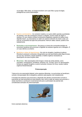222
os às algas. Além disso, os fungos envolvem com suas hifas o grupo de algas,
protegendo-as contra desidratação.
 Cupins e protozoários - Ao comerem madeira, os cupins obtêm grandes quantidades
de celulose, mas não conseguem produzir a celulase, enzima capaz de digerir a
celulose. Em seu intestino existem protozoários flagelados capazes de realizar essa
digestão.Assim, os protozoários se valem em parte do alimento do inseto e este, por
sua vez, se beneficia da ação dos protozoários. Nenhum deles, todavia, poderia viver
isoladamente.
 Ruminates e microorganismos - Na pança ou rúmen dos ruminantes também se
encontram bactérias que promovem a digestão da celulose ingerida com a folhagem. É
um caso idêntico ao anterior.
 Bactérias e raízes de leguminosas - No ciclo do nitrogênio, bactérias do gênero
Rhizobium produzem compostos nitrogenados que são assimilados pelas leguminosas,
por sua vez, fornecem a essas bactérias a matéria orgânica necessária ao
desempenho de suas funções vitais.
 Micorrizas - São associações entre fungos e raízes de certas plantas, como
orquídeas, morangueiros, tomateiros, pinheiros, etc. O fungo, que é um decompositor,
fornece ao vegetal nitrogênio e outros nutrientes minerais; em troca, recebe matéria
orgânica fotossintetizada.
Protocooperação
Trata-se de uma associação bilateral, entre espécies diferentes, na qual ambas se beneficiam;
contudo, tal associação não é obrigatória, podendo cada espécie viver isoladamente.
A atuação dos pássaros que promovem a dispersão das plantas comendo-lhes os frutos e
evacuando as suas sementes em local distante, bem como a ação de insetos que procuram o
néctar das flores e contribuem involuntariamente para a polinização das plantas são
consideradas exemplos de protocooperação.
Como exemplo citaremos:
 