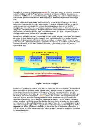 227
formação de uma comunidade pioneira ouecese. Os liquens por serem os primeiros seres a se
instalarem são chamado de "organismos pioneiros". A atividade metabólica dos liquens vai
lentamente modificando as condições iniciais da região. Os liquens produzem ácidos orgânicos
que corroem gradativamente a rocha, formando através da erosão as primeiras camadas de
solo.
Camada sobre camada de líquen, vão formando um tapete orgânico, que enriquece o solo,
deixando o mesmo úmido e rico em sais minerais. A partir de então as condições, já não tão
desfavoráveis, permitem o aparecimento de plantas de pequeno porte, como briófitas
(musgos), que necessitam de pequena quantidade de nutrientes para se desenvolverem e
atingirem o estágio de reprodução. Novas e constantes modificações se sucedem permitindo o
aparecimento de plantas de maior porte como samambaias e arbustos. Também começam a
aparecer os pequenos animais como insetos e moluscos.
Dessa forma etapa após etapa a comunidade pioneira evolui, até que a velocidade do processo
começa a diminuir gradativamente, chegando a um ponto de equilíbrio, no qual a sucessão
ecológica atinge seu desenvolvimento máximo compatível com as condições físicas do local
(solo, clima, etc.). Essa comunidade é a etapa final do processo de sucessão, conhecida como
comunidade clímax . Cada etapa intermediária entre a comunidade pioneira e o clímax e
chamada de sere.
Fogo e a Sucessão Ecológica
Assim como em todas as savanas tropicais, o fogo tem sido um importante fator ambiental nos
cerrados brasileiros desde há muitos milênios e tem, portanto, atuado na evolução dos seres
vivos desses ecossistemas, selecionando plantas e animais com características que os
protejam das rápidas queimadas que lá ocorrem. Nas plantas, uma dessas características que
talvez mais nos chame a atenção é a cortiça grossa das árvores e arbustos (lenhosas), que
age como isolante térmico durante a passagem do fogo. Entretanto, um observador mais
atento irá notar diversas outras respostas da vegetação ao fogo, como a floração intensa do
estrato herbáceo e a rápida rebrota das plantas, dias após a queima, a abertura sincronizada
de frutos e intensa dispersão de suas sementes, a germinação das sementes de espécies que
são estimuladas pelo fogo. Ainda, o fogo promove todo um processo dereciclagem da matéria
orgânica que, ao ser queimada, transforma-se em cinzas, que se depositam sobre o solo e,
com as chuvas, têm seus elementos químicos solubilizados e disponibilizados como nutrientes
às raízes das plantas.
 