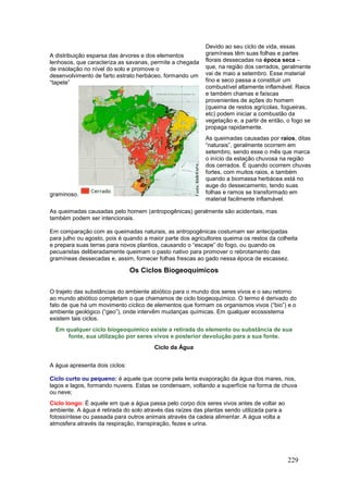 229
A distribuição esparsa das árvores e dos elementos
lenhosos, que caracteriza as savanas, permite a chegada
de insolação no nível do solo e promove o
desenvolvimento de farto estrato herbáceo, formando um
“tapete”
graminoso.
Devido ao seu ciclo de vida, essas
gramíneas têm suas folhas e partes
florais dessecadas na época seca –
que, na região dos cerrados, geralmente
vai de maio a setembro. Esse material
fino e seco passa a constituir um
combustível altamente inflamável. Raios
e também chamas e faíscas
provenientes de ações do homem
(queima de restos agrícolas, fogueiras,
etc) podem iniciar a combustão da
vegetação e, a partir de então, o fogo se
propaga rapidamente.
As queimadas causadas por raios, ditas
“naturais”, geralmente ocorrem em
setembro, sendo esse o mês que marca
o início da estação chuvosa na região
dos cerrados. É quando ocorrem chuvas
fortes, com muitos raios, e também
quando a biomassa herbácea está no
auge do dessecamento, tendo suas
folhas e ramos se transformado em
material facilmente inflamável.
As queimadas causadas pelo homem (antropogênicas) geralmente são acidentais, mas
também podem ser intencionais.
Em comparação com as queimadas naturais, as antropogênicas costumam ser antecipadas
para julho ou agosto, pois é quando a maior parte dos agricultores queima os restos da colheita
e prepara suas terras para novos plantios, causando o “escape” do fogo, ou quando os
pecuaristas deliberadamente queimam o pasto nativo para promover o rebrotamento das
gramíneas dessecadas e, assim, fornecer folhas frescas ao gado nessa época de escassez.
Os Ciclos Biogeoquímicos
O trajeto das substâncias do ambiente abiótico para o mundo dos seres vivos e o seu retorno
ao mundo abiótico completam o que chamamos de ciclo biogeoquímico. O termo é derivado do
fato de que há um movimento cíclico de elementos que formam os organismos vivos (“bio”) e o
ambiente geológico (“geo”), onde intervêm mudanças químicas. Em qualquer ecossistema
existem tais ciclos.
Em qualquer ciclo biogeoquímico existe a retirada do elemento ou substância de sua
fonte, sua utilização por seres vivos e posterior devolução para a sua fonte.
Ciclo da Água
A água apresenta dois ciclos:
Ciclo curto ou pequeno: é aquele que ocorre pela lenta evaporação da água dos mares, rios,
lagos e lagos, formando nuvens. Estas se condensam, voltando a superfície na forma de chuva
ou neve;
Ciclo longo: É aquele em que a água passa pelo corpo dos seres vivos antes de voltar ao
ambiente. A água é retirada do solo através das raízes das plantas sendo utilizada para a
fotossíntese ou passada para outros animais através da cadeia alimentar. A água volta a
atmosfera através da respiração, transpiração, fezes e urina.
 