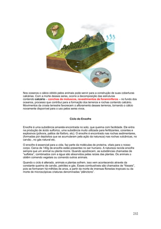 232
Nos oceanos o cálcio obtido pelos animais pode servir para a construção de suas coberturas
calcárias. Com a morte desses seres, ocorre a decomposição das estruturas
contendo calcário – conchas de moluscos, revestimentos de foraminíferos – no fundo dos
oceanos, processo que contribui para a formação dos terrenos e rochas contendo calcário.
Movimentos da crosta terrestre favorecem o afloramento desses terrenos, tornando o cálcio
novamente disponível para o uso pelos seres vivos.
Ciclo do Enxofre
Enxofre é uma substância amarela encontrada no solo, que queima com facilidade. Ele entra
na produção de ácido sulfúrico, uma substância muito utilizada para fertilizantes, corantes e
explosivos (pólvora, palitos de fósforo, etc). O enxofre é encontrado nas rochas sedimentares,
(formadas por depósitos que se acumularam pela ação da natureza) nas rochas vulcânicas, no
carvão , no gás natural etc.
O enxofre é essencial para a vida, faz parte da moléculas de proteína, vitais para o nosso
corpo. Cerca de 140g de enxofre estão presentes no ser humano. A natureza recicla enxofre
sempre que um animal ou planta morre. Quando apodrecem, as substâncias chamadas de
“sulfatos”, combinados com a água são absorvidos pelas raízes das plantas. Os animais o
obtêm comendo vegetais ou comendo outros animais.
Quando o ciclo é alterado, animais e plantas sofrem, isso vem acontecendo através da
constante queima de carvão, petróleo e gás. Esses combustíveis são chamados de “fósseis”,
pois se formaram há milhões de anos, a partir da morte de imensas florestas tropicais ou da
morte de microscópicas criaturas denominadas “plânctons”.
 