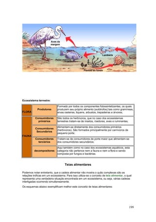 199
Ecossistema terrestre:
FLORA
Produtores
Formado por todos os componentes fotossintetizantes, os quais
produzem seu próprio alimento (autótrofos) tais como gramíneas,
ervas rasteiras, liquens, arbustos, trepadeiras e árvores;
FAUNA
Consumidores
primários
São todos os herbívoros, que no caso dos ecossistemas
terrestres tratam-se de insetos, roedores, aves e ruminantes;
Consumidores
Secundários
Alimentam-se diretamente dos consumidores primários
(herbívoros). São formados principalmente por carnívoros de
pequeno porte;
Consumidores
terciários
Tratam-se de consumidores de porte maior que alimentam-se
dos consumidores secundários;
decompositores
Aqui também como no caso dos ecossistemas aquáticos, esta
categoria não pertence nem a fauna e nem a flora e sendo
composta por fungos e bactérias.
Teias alimentares
Podemos notar entretanto, que a cadeia alimentar não mostra o quão complexas são as
relações tróficas em um ecossistema. Para isso utiliza-se o conceito de teia alimentar, o qual
representa uma verdadeira situação encontrada em um ecossistema, ou seja, várias cadeias
interligadas ocorrendo simultaneamente.
Os esquemas abaixo exemplificam melhor este conceito de teias alimentares:
 