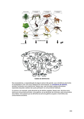 200
Cadeia de detritívoros
Nos ecossistemas, a especialização de alguns seres é tão grande, que a tendência atual entre
os ecologistas é criar uma nova categoria de consumidores: os comedores de detritos,
também conhecido como detritívoros. Nesse caso, são formadas cadeias alimentares
separadas daquelas cadeias das quais participam os consumidores habituais.
A minhoca, por exemplo, pode alimentar-se de detritos vegetais. Nesse caso, ela atua como
detritívora consumidora primária. Uma galinha, ao se alimentar de minhocas, será consumidora
secundária. Uma pessoa que se alimenta da carne da galinha ocupará o nível trófico dos
consumidores terciários.
 