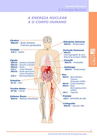 A Energia Nuclear
Apostila Educativa
CNEN
Cérebro
99mTc - Ácido dietileno
Triamino pentacético
Glândulas Salivares
99mTc - Pertecnetato
Próstata
125 I - sementes de iodo
Intestino
51 Cr - SAH
Estômago
99mTc - Pertecnetato
Tecidos Moles
67 Ga - Citrato
Sistema Ósseo
99mTc - Metileno Difosfonato
Linfografia
99mTc - Dextran 500
Tireóide
131 I - Iodeto
Rins
99mTc - Ácido Dietileno
Triamino
Pentacetico (DIPA)
99mTc - Citrato Estanhoso
99mTc - Ácido
Dimercaptosuccínico
(DMSA)
131 I - Hippuran
Fígado
99mTc - Estanho Coloidal
99mTc - Enxofre Coloidal
99mTc - Fitato
131 I - Rosa Bengala
99mTc - Ácido para-butil
Imino Diacético
131 I - Bromosulfaleina
Coração
99mTc - Pirofosfato
Perfusão Pulmonar
99mTc
macroagregado de soro
Albumina humana (MAA)
A ENERGIA NUCLEAR
E O CORPO HUMANO
Comissão Nacional de Energia Nuclear
40
 