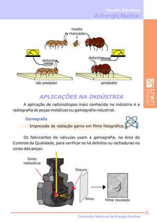 A Energia Nuclear
Apostila Educativa
APLICAÇÕES NA INDÚSTRIA
não predador
detector
predador
detector
inseto
marcado
A aplicação de radioisótopos mais conhecida na indústria é a
radiografia de peças metálicas ou gamagrafia industrial.
Gamagrafia
Impressão de radiação gama em filme fotográfico.
Os fabricantes de válvulas usam a gamagrafia, na área de
Controle da Qualidade, para verificar se há defeitos ou rachaduras no
corpo das peças.
filme filme revelado
fonte
radioativa
fissura
Comissão Nacional de Energia Nuclear
42
 