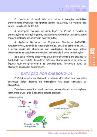 Comissão Nacional de Energia Nuclear
A Energia Nuclear
Apostila Educativa
O processo é realizado em uma instalação radiativa
denominada irradiador de grande porte, utlizando, na maioria dos
casos, uma fonte de Co-60.
A vantagem do uso de uma fonte de Co-60 é devida à
penetração da radiação gama, proporcionando maior versatilidade e
maior amplitude de utilização do irradiador.
A Agência Nacional de Vigilância Sanitária (ANVISA)
regulamentou, através da Resolução no 21, de 26 de janeiro de 2001,
a preservação de alimentos por irradiação, desde que sejam
observadas as seguintes condições, em relação à dose de radiação:
a) a dose mínima absorvida deve ser suficiente para alcançar a
finalidade pretendida; b) a dose máxima absorvida deve ser inferior
àquela que comprometeria as propriedades funcionais e/ou os
atributos sensoriais do alimento.
O C-14 resulta da absorção contínua dos nêutrons dos raios
cósmicos pelos átomos de nitrogênio nas altas camadas da
atmosfera.
Esse isótopo radioativo do carbono se combina com o oxigênio,
formando o CO , que é absorvido pelas plantas.2
DATAÇÃO POR CARBONO-14
raios cósmicos
O2
N-14 C-14
+
Co2
fósseis
madeira e papiro
Absorção de CO2
pelas plantas
46
 