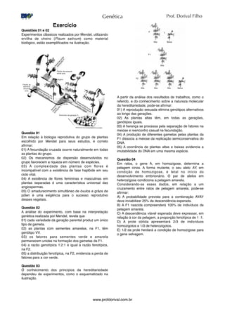 Exercício
Questões 01 e 02
Experimentos clássicos realizados por Mendel, utilizando
ervilha de cheiro (Pisum sativum) como material
biológico, estão exempliﬁcados na ilustração.
Questão 01
Em relação à biologia reprodutiva do grupo de plantas
escolhido por Mendel para seus estudos, é correto
aﬁrmar:
01) A fecundação cruzada ocorre naturalmente em todas
as plantas do grupo.
02) Os mecanismos de dispersão desenvolvidos no
grupo favorecem a riqueza em número de espécies.
03) A complexidade das plantas com ﬂores é
incompatível com a existência de fase haplóide em seu
ciclo vital.
04) A existência de ﬂores femininas e masculinas em
plantas separadas é uma característica universal das
angiospermas.
05) O amadurecimento simultâneo de óvulos e grãos de
pólen é uma exigência para o sucesso reprodutivo
desses vegetais.
Questão 02
A análise do experimento, com base na interpretação
genética realizada por Mendel, revela que
01) cada variedade da geração parental produz um único
tipo de gameta.
02) as plantas com sementes amarelas, na F1, têm
genótipo VV.
03) os fatores para sementes verde e amarela
permanecem unidas na formação dos gametas da F1.
04) a razão genotípica 1:2:1 é igual à razão fenotípica,
na F2.
05) a distribuição fenotípica, na F2, evidencia a perda de
fatores para a cor verde.
Questão 03
O conhecimento dos princípios da hereditariedade
dependeu de experimentos, como o esquematizado na
ilustração.
A partir da análise dos resultados de trabalhos, como o
referido, e do conhecimento sobre a natureza molecular
da hereditariedade, pode-se aﬁrmar:
01) A reprodução sexuada elimina genótipos alternativos
ao longo das gerações.
02) As plantas altas têm, em todas as gerações,
genótipos iguais.
03) A herança se processa pela separação de fatores na
meiose e reencontro casual na fecundação.
04) A produção de diferentes gametas pelas plantas da
F1 dissocia a meiose da replicação semiconservativa do
DNA.
05) A ocorrência de plantas altas e baixas evidencia a
imutabilidade do DNA em uma mesma espécie.
Questão 04
Em ratos, o gene A, em homozigose, determina a
pelagem cinza. A forma mutante, o seu alelo AY, em
condição de homozigose, é letal no início do
desenvolvimento embrionário. O par de alelos em
heterozigose condiciona a pelagem amarela.
Considerando-se esses dados, em relação a um
cruzamento entre ratos de pelagem amarela, pode-se
aﬁrmar:
A) A probabilidade prevista para a combinação AYAY
deve inviabilizar 25% da descendência esperada.
B) A F1 nascida compreenderá 100% de indivíduos de
pelagem amarela.
C) A descendência viável esperada deve expressar, em
relação à cor da pelagem, a proporção fenotípica de 1 :1.
D) A prole obtida apresentará 2/3 de indivíduos
homozigotos e 1/3 de heterozigotos.
E) 1/2 da prole herdará a condição de homozigose para
o gene selvagem.
Genética
www.profdorival.com.br
Prof. Dorival Filho
 