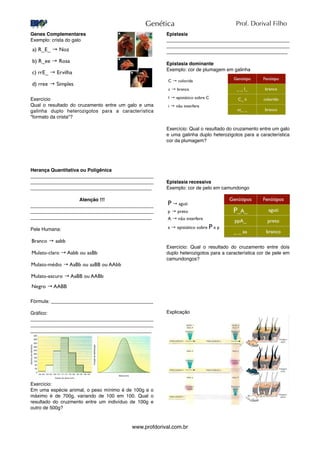 Genes Complementares
Exemplo: crista do galo
Exercício
Qual o resultado do cruzamento entre um galo e uma
galinha duplo heterozigotos para a característica
"formato da crista"?
Herança Quantitativa ou Poligênica
_____________________________________________
_____________________________________________
_____________________________________________
Atenção !!!
_____________________________________________
_____________________________________________
_____________________________________________
Pele Humana:
Fórmula: ______________________________________
Gráﬁco:
_____________________________________________
_____________________________________________
_____________________________________________
Exercício:
Em uma espécie animal, o peso mínimo é de 100g e o
máximo é de 700g, variando de 100 em 100. Qual o
resultado do cruzmento entre um indivíduo de 100g e
outro de 500g?
Epistasia
_____________________________________________
_____________________________________________
_____________________________________________
Epistasia dominante
Exemplo: cor de plumagem em galinha
Exercício: Qual o resultado do cruzamento entre um galo
e uma galinha duplo heterozigotos para a característica
cor da plumagem?
Epistasia recessiva
Exemplo: cor de pelo em camundongo
Exercício: Qual o resultado do cruzamento entre dois
duplo heterozigotos para a característica cor de pele em
camundongos?
Explicação
Genética
www.profdorival.com.br
Prof. Dorival Filho
 