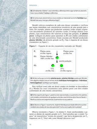 

 QE 2: Analisando a Tabela 1, você entendeu a diferença entre o que seriam as caracterís-
 ticas e seus estados? Explique a diferença.


 QE 3: Como essas características e seus estados se relacionam ao termo fenótipo (que
 Mendel não usou, mas que utilizamos hoje)?


    Mendel cultivou exemplares de cada uma dessas variedades e verificou
que muitas mantinham suas características invariáveis de uma geração para a
outra. Por exemplo, plantas que produziam sementes verdes sempre origina-
vam descendentes produtores de sementes verdes. O monge chamou essas
plantas, cujas características não variavam ao longo das gerações, de plantas
puras. Linhagens de plantas puras (parentais ou P) com estados contrastantes
de uma determinada característica foram cruzadas por Mendel produzindo
plantas híbridas (da primeira geração ou F1). Veja o esquema de um desses
cruzamentos na Figura 1.

Figura 1 – Esquema de um dos cruzamentos realizados por Mendel.

      P:        Plantas puras            X          Plantas puras
                ervilha rugosa                      ervilha lisa
      F1:       Plantas híbridas
                100% ervilha lisa
                                             autofecundação

      F2:
                               75%             25%
                        ervilha lisa           ervilha rugosa



 QE 4: Você acha que os termos plantas puras e plantas híbridas usados por Mendel
                               plantas puras plantas híbridas
 têm alguma relação com os termos atuais indivíduos homozigóticos e indivíduos
 heterozigóticos Justifique sua resposta.
 heterozigóticos?

     Para verificar como cada um desses estados era herdado na descendência
(F 1), Mendel fez esses cruzamentos entre plantas puras com dois estados
contrastantes de uma mesma característica.

 QE 5: No esquema da Figura 1, poderia estar representado o cruzamento entre plantas
 com estados contrastantes de qualquer uma das características descritas na Tabela 1.
 Monte os outros seis esquemas de cruzamentos no seu caderno.


 QE 6: Observe a Figura 1 novamente. A planta híbrida possui estado diferente ou inter-
 mediário aos estados de seus dois parentais? Como você explica tal resultado?

    Observe novamente a Figura 1. As plantas F1 foram autofecundadas e ge-
raram as plantas da segunda geração ou F2. Você percebeu que o estado “ru-
goso” da característica “textura da semente”, que havia desaparecido em F1,
reapareceu em F2? Você sabe como Mendel descreveu isso?



 