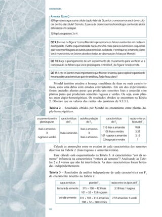 

           ATIVIDADE 1(CONT.)
           6) Represente agora uma célula duplo-híbrida. Quantos cromossomos você deve colo-
           car dentro da célula? Correto, 2 pares de cromossomos homólogos contendo alelos
           diferentes em cada par.
           7) Repita os passos 3 e 4.


           QE 9: Escreva na Figura 1 como Mendel representaria os fatores existentes em cada um
           dos tipos de ervilha esquematizada. Faça a mesma coisa para os outros seis esquemas
           que você montou para as outras características da Tabela 1.Verifique se a maneira como
           você representou os fatores obedece todas as observações feitas por Mendel.

           QE 10: Faça o planejamento de um experimento de cruzamento para verificar se a
           composição de fatores que você propôs para o híbrido F1 da Figura 1 está correta.

           QE 11: Liste os pontos mais importantes que Mendel levantou para explicar o padrão de
           herança das características que ele analisou.Tudo ficou claro?

              Mendel também estudou a herança simultânea de duas ou mais caracterís-
          ticas, cada uma delas com estados contrastantes. Em um dos experimentos
          foram cruzadas plantas puras que produziam sementes lisas e amarelas com
          plantas puras que produziam sementes rugosas e verdes. Ou seja, essas plan-
          tas eram duplo-homozigóticas. Os resultados obtidos se encontram na Tabela
          2. Observe que os valores das razões são próximos de 9:3:3:1.

          Tabela 2 – Resultados obtidos por Mendel no cruzamento entre plantas du-
          plo-homozigóticas.

cruzamento entre       características   autofecundação           características       razão entre os
  plantas puras            de F1              de F1                   de F2               tipos de F2

                                                               315 lisas e amarelas             9,84
 lisas e amarelas                        lisas e amarelas
                                                                108 lisas e verdes              3,37
          X           lisas e amarelas            X
                                                              101 rugosas e amarelas            3,15
rugosas e verdes                         lisas e amarelas
                                                               32 rugosas e verdes               1

             Calcule as proporções entre os estados de cada característica das sementes
          descritas na Tabela 2 (lisas:rugosas e amarelas:verdes).
              Esse cálculo está esquematizado na Tabela 3. A característica “cor da se-
          mente” influencia na característica “textura da semente”? Analisando as Tabe-
          las 2 e 3 vemos que não há interferência. As duas características foram herda-
          das independentemente.

          Tabela 3 – Resultados da análise independente de cada característica em F2
          do cruzamento descrito na Tabela 2.

                      características            plantas F2           razão entre os tipos de F2

                    textura da semente     315 + 108 = 423 lisas         3,18 lisas: 1 rugosa
                                          101 + 32 = 133 rugosas
                     cor da semente      315 + 101 = 416 amarelas      2,97 amarelas: 1 verde
                                          108 + 32 = 140 verdes

          
 