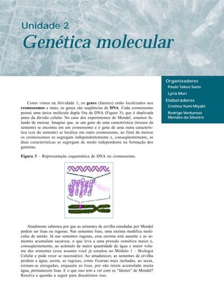 Unidade 2

Genética molecular
                                                                             Organizadores
                                                                             Paulo Takeo Sano
                                                                             Lyria Mori
                                                                             Elaboradores
    Como vimos na Atividade 1, os genes (fatores) estão localizados nos
cromossomos e mais, os genes são seqüências de DNA. Cada cromossomo          Cristina Yumi Miyaki
possui uma única molécula dupla fita de DNA (Figura 3), que é duplicada      Rodrigo Venturoso
antes da divisão celular. No caso dos experimentos de Mendel, estamos fa-    Mendes da Silveira
lando de meiose. Imagine que, se um gene de uma característica (textura da
semente) se encontra em um cromossomo e o gene de uma outra caracterís-
tica (cor da semente) se localiza em outro cromossomo, ao final da meiose
os cromossomos se segregam independentemente e, conseqüentemente, as
duas características se segregam de modo independente na formação dos
gametas.

Figura 3 – Representação esquemática de DNA no cromossomo.




    Atualmente sabemos por que as sementes de ervilha estudadas por Mendel
podem ser lisas ou rugosas. Nas sementes lisas, uma enzima modifica molé-
culas de amido. Já nas sementes rugosas, essa enzima está ausente e as se-
mentes acumulam sacarose, o que leva a uma pressão osmótica maior e,
conseqüentemente, ao acúmulo de maior quantidade de água e maior volu-
me das sementes (esse assunto você já estudou no Módulo 1 – Biologia
Celular e pode rever se necessário). Ao amadurecer, as sementes de ervilha
perdem a água; assim, as rugosas, como ficaram mais inchadas, ao secar,
tornam-se enrugadas, enquanto as lisas, por não terem acumulado muita
água, permanecem lisas. E o que isso tem a ver com os “fatores” de Mendel?
Resolva a questão a seguir para discutirmos isso.
 