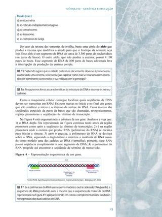   -   

 PROVÃO (CONT.)
 a) à mitocôndria.
 b) ao retículo endoplasmático rugoso.
 c) ao peroxissomo.
 d) ao lisossomo.
 e) ao complexo de Golgi.

    No caso da textura das sementes de ervilha, basta uma cópia do alelo que
produz a enzima que modifica o amido para que o fenótipo da semente seja
liso. Esse alelo é um segmento de DNA de cerca de 3.300 pares de nucleotídeos
(ou pares de bases). O outro alelo, que não produz a enzima, possui 4.100
pares de bases. Esse segmento de DNA de 800 pares de bases adicionais leva
à interrupção da produção da enzima correta.

 QE 15: Sabendo agora que o estado da textura da semente deve-se à presença ou
 ausência de uma enzima, você consegue explicar como isso se relaciona com o fenó-
 tipo ser dominante ou recessivo e sua relação com o genótipo?


 QE 16: Pesquise nos livros as características da estrutura do DNA e escreva-as no seu
 caderno.

    Como o maquinário celular consegue localizar quais seqüências de DNA
devem ser transcritas em RNA? Existem marcas no início e no final dos genes
que vão sinalizar o início e o término da síntese do RNA. Essas marcas são
seqüências especiais de pares de bases que são chamadas, respectivamente,
regiões promotoras e seqüências de término de transcrição.
    Na Figura 4 está esquematizada a estrutura de um gene. Analise-a e veja que:
1) o DNA dupla fita representado na figura continua tanto antes da região
promotora como após a seqüência de término de transcrição; 2) é na região
promotora onde a enzima que produz RNA (polimerase do RNA) se encaixa
para iniciar a síntese; 3) após o encaixe, a polimerase do RNA se desloca
sobre o DNA, separando a dupla-hélice e sintetiza a molécula de RNA usan-
do como modelo uma das cadeias de DNA (vermelha); portanto, esse RNA
possui seqüência complementar à esse segmento de DNA; 4) a polimerase do
RNA progride até encontrar a seqüência de término de transcrição.

Figura 4 – Representação esquemática de um gene.




          Fonte: PEB II- Aperfeiçoamento de professores - Construindo Sempre - Biologia, p 37, 2002.


 QE 17: Se a polimerase do RNA usasse como modelo a outra cadeia de DNA (verde), a
 seqüência do RNA produzido seria a mesma que a seqüência da molécula de RNA
 representada na Figura 4? Explique levando em conta a complementaridade das bases
 nitrogenadas das duas cadeias do DNA.


                                                                                                       
 