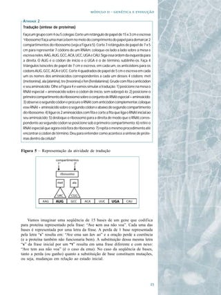   -   

 ATIVIDADE 2
 Tradução (síntese de proteínas)
          (sínt       prot
                        oteínas)
 Faça um grupo com 4 ou 5 colegas. Corte um retângulo de papel de 15 x 3 cm e escreva
 “ribossomo”Faça uma marca bem no meio do comprimento do papel para demarcar 2
             .
 compartimentos do ribossomo (veja a Figura 5). Corte 7 retângulos de papel de 7 x 5
 cm para representar 7 códons de um RNAm; coloque-os lado a lado sobre a mesa e
 escreva neles: AAG, AUG, GCC, ACA, UCC, UGA e CAU. Siga essa ordem da esquerda para
 a direita. O AUG é o códon de início e o UGA é o de término, sublinhe-os. Faça 4
 triângulos isósceles de papel de 7 cm e escreva, em cada um, os anticódons para os
 códons AUG, GCC, ACA e UCC. Corte 4 quadrados de papel de 5 cm e escreva em cada
 um os nomes dos aminoácidos correspondentes a cada um desses 4 códons: met
 (metionina), ala (alanina), tre (treonina) e fen (fenilalanina). Grude com fita o anticódon
 e seu aminoácido. Olhe a Figura 4 e vamos simular a tradução: 1) posicione na mesa o
 RNAt especial + aminoácido sobre o códon de início, sem sobrepô-lo; 2) posicione o
 primeiro compartimento do ribossomo sobre o conjunto de RNAt especial + aminoácido;
 3) observe o segundo códon e procure o RNAt com anticódon complementar, coloque
 esse RNAt + aminoácido sobre o segundo códon e abaixo do segundo compartimento
 do ribossomo; 4) ligue os 2 aminoácidos com fita e corte a fita que liga o RNAt inicial ao
 seu aminoácido; 5) desloque o ribossomo para a direita de modo que o RNAt corres-
 pondente ao segundo códon se posicione sob o primeiro compartimento; 6) retire o
 RNAt especial que agora está fora do ribossomo; 7) repita o mesmo procedimento até
 encontrar o códon de término. Deu para entender como acontece a síntese de prote-
 ínas dentro da célula?


Figura 5 – Representação da atividade de tradução




    Vamos imaginar uma seqüência de 15 bases de um gene que codifica
para proteína representado pela frase: “Ave sem asa não voa”. Cada uma das
bases é representada por uma letra da frase. A perda de 1 base representada
pela letra “s” resulta em: “Ave ema san ãov ao” e a oração perde a coerência
(e a proteína também não funcionaria bem). A substituição dessa mesma letra
“s” da frase inicial por um “t” resulta em uma frase diferente e com nexo:
“Ave tem asa não voa” (é o caso da ema). No caso da seqüência de bases,
tanto a perda (ou ganho) quanto a substituição de base constituem mutações,
ou seja, mudanças em relação ao estado inicial.




                                                                                           
 