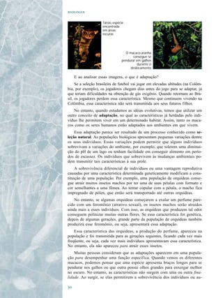 

                     Társio, espécie
                     encontrada
                     em áreas
                     escuras




                                    O macaco-aranha
                                         consegue se
                                  pendurar em galhos
                                           durante o
                                       deslocamento

     E ao analisar essas imagens, o que é adaptação?
     Se a seleção brasileira de futebol vai jogar em elevadas altitudes (na Colôm-
bia, por exemplo), os jogadores chegam dias antes do jogo para se adaptar, já
que teriam dificuldades na obtenção de gás oxigênio. Quando retornam ao Bra-
sil, os jogadores perdem essa característica. Mesmo que continuem vivendo na
Colômbia, essa característica não será transmitida aos seus futuros filhos.
    No entanto, quando estudamos as idéias evolutivas, temos que utilizar um
outro conceito de adaptação, no qual as características já herdadas pelo indi-
víduo lhe permitem viver em um determinado habitat. Assim, tanto os maca-
cos como os seres humanos estão adaptados aos ambientes em que vivem.
    Essa adaptação parece ser resultado de um processo conhecido como se-
leção natural. As populações biológicas apresentam pequenas variações dentre
os seus indivíduos. Essas variações podem permitir que alguns indivíduos
sobrevivam a variações do ambiente, por exemplo, que tolerem uma diminui-
ção do pH de um lago ou tenham facilidade em conseguir alimento em perío-
dos de escassez. Os indivíduos que sobrevivem às mudanças ambientais po-
dem transmitir tais características à sua prole.
     A sobrevivência diferencial de indivíduos ou uma vantagem reprodutiva
causadas por uma característica determinada geneticamente modificam a cons-
tituição de uma população. Por exemplo, uma população de orquídeas conse-
gue atrair muitos insetos machos por ter uma de suas pétalas com formato e
cor semelhantes a uma fêmea. Ao tentar copular com a pétala, o macho fica
impregnado de pólen, que então será transportado até outras orquídeas.
    No entanto, se algumas orquídeas começarem a exalar um perfume pare-
cido com um feromônio (atrativo sexual), os insetos machos serão atraídos
ainda mais a esses indivíduos. Com isso, as orquídeas que produzem tal odor
conseguem polinizar muitas outras flores. Se essa característica for genética,
depois de algumas gerações, grande parte da população de orquídeas também
produzirá esse feromônio, ou seja, apresentará essa adaptação.
    Essa característica das orquídeas, a produção do perfume, apareceu na
população e foi transmitida para as gerações seguintes, ficando cada vez mais
freqüente, ou seja, cada vez mais indivíduos apresentavam essa característica.
No entanto, ela não apareceu para atrair esses insetos.
    Muitas pessoas consideram que as adaptações aparecem em uma popula-
ção para desempenhar uma função específica. Quando vemos os diferentes
macacos, podemos pensar que uma espécie apresenta braços longos para se
pendurar nos galhos ou que outra possui olhos grandes para enxergar melhor
no escuro. No entanto, as características não surgem com uma ou outra fina-
lidade. Ao surgir, se elas permitirem a sobrevivência dos indivíduos ou au-


 