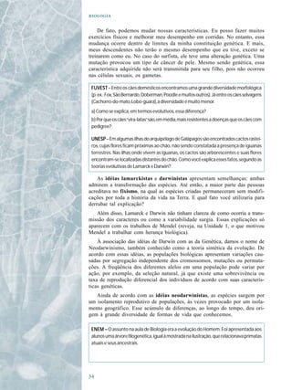 

    De fato, podemos mudar nossas características. Eu posso fazer muitos
exercícios físicos e melhorar meu desempenho em corridas. No entanto, essa
mudança ocorre dentro de limites da minha constituição genética. E mais,
meus descendentes não terão o mesmo desempenho que eu tive, exceto se
treinarem como eu. No caso do surfista, ele teve uma alteração genética. Uma
mutação provocou um tipo de câncer de pele. Mesmo sendo genética, essa
característica adquirida não será transmitida para seu filho, pois não ocorreu
nas células sexuais, os gametas.

 FUVEST – Entre os cães domésticos encontramos uma grande diversidade morfológica
 (p. ex.: Fox, São Bernardo, Doberman, Poodle e muitos outros). Já entre os cães selvagens
 (Cachorro-do-mato, Lobo-guará), a diversidade é muito menor.
 a) Como se explica, em termos evolutivos, essa diferença?
 b) Por que os cães “vira-latas” são, em média, mais resistentes a doenças que os cães com
 pedigree?

 UNESP – Em algumas ilhas do arquipélago de Galápagos são encontrados cactos rastei-
 ros, cujas flores ficam próximas ao chão, não sendo constatada a presença de iguanas
 terrestres. Nas ilhas onde vivem as iguanas, os cactos são arborescentes e suas flores
 encontram-se localizadas distantes do chão. Como você explica esses fatos, segundo as
 teorias evolutivas de Lamarck e Darwin?

    As idéias lamarckistas e darwinistas apresentam semelhanças: ambas
admitem a transformação das espécies. Até então, a maior parte das pessoas
acreditava no fixismo, na qual as espécies criadas permaneceram sem modifi-
cações por toda a história da vida na Terra. E qual fato você utilizaria para
derrubar tal explicação?
   Além disso, Lamarck e Darwin não tinham clareza de como ocorria a trans-
missão dos caracteres ou como a variabilidade surgia. Essas explicações só
aparecem com os trabalhos de Mendel (reveja, na Unidade 1, o que motivou
Mendel a trabalhar com herança biológica).
    À associação das idéias de Darwin com as da Genética, damos o nome de
Neodarwinismo, também conhecido como a teoria sintética da evolução. De
acordo com essas idéias, as populações biológicas apresentam variações cau-
sadas por segregação independente dos cromossomos, mutações ou permuta-
ções. A freqüência dos diferentes alelos em uma população pode variar por
ação, por exemplo, da seleção natural, já que existe uma sobrevivência ou
taxa de reprodução diferencial dos indivíduos de acordo com suas caracterís-
ticas genéticas.
   Ainda de acordo com as idéias neodarwinistas, as espécies surgem por
um isolamento reprodutivo de populações, às vezes provocado por um isola-
mento geográfico. Esse acúmulo de diferenças, ao longo do tempo, deu ori-
gem à grande diversidade de formas de vida que conhecemos.

 ENEM – O assunto na aula de Biologia era a evolução do Homem. Foi apresentada aos
 alunos uma árvore filogenética, igual à mostrada na ilustração, que relacionava primatas
 atuais e seus ancestrais.





 