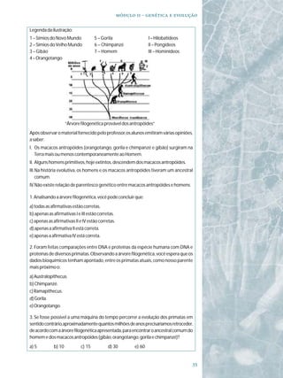   -   

Legenda da ilustração:
1 – Símios do Novo Mundo             5 – Gorila                   I – Hilobatídeos
2 – Símios do Velho Mundo            6 – Chimpanzé                II – Pongídeos
3 – Gibão                            7 – Homem                    III – Hominídeos
4 – Orangotango




                     “Árvore filogenética provável dos antropóides”
Após observar o material fornecido pelo professor, os alunos emitiram várias opiniões,
a saber:
I. Os macacos antropóides (orangotango, gorila e chimpanzé e gibão) surgiram na
   Terra mais ou menos contemporaneamente ao Homem.
II. Alguns homens primitivos, hoje extintos, descendem dos macacos antropóides.
III.Na história evolutiva, os homens e os macacos antropóides tiveram um ancestral
    comum.
IV.Não existe relação de parentesco genético entre macacos antropóides e homens.

1. Analisando a árvore filogenética, você pode concluir que:
a) todas as afirmativas estão corretas.
b) apenas as afirmativas I e III estão corretas.
c) apenas as afirmativas II e IV estão corretas.
d) apenas a afirmativa II está correta.
e) apenas a afirmativa IV está correta.

2. Foram feitas comparações entre DNA e proteínas da espécie humana com DNA e
proteínas de diversos primatas. Observando a árvore filogenética, você espera que os
dados bioquímicos tenham apontado, entre os primatas atuais, como nosso parente
mais próximo o:
a) Australopithecus.
b) Chimpanzé.
c) Ramapithecus.
d) Gorila.
e) Orangotango.

3. Se fosse possível a uma máquina do tempo percorrer a evolução dos primatas em
sentido contrário, aproximadamente quantos milhões de anos precisaríamos retroceder,
de acordo com a árvore filogenética apresentada, para encontrar o ancestral comum do
homem e dos macacos antropóides (gibão, orangotango, gorila e chimpanzé)?
a) 5         b) 10           c) 15          d) 30         e) 60


                                                                                     
 