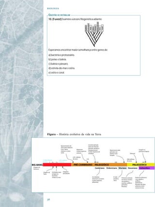 

 QUESTÃO DE VESTIBULAR
 10. (Fuvest) Examine a árvore filogenética adiante:




 Esperamos encontrar maior semelhança entre genes de:
 a) bactéria e protozoário.
 b) peixe e baleia.
 c) baleia e pássaro.
 d) estrela-do-mar e ostra.
 e) ostra e coral.




Figura – História evolutiva da vida na Terra





 