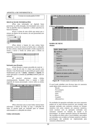 APOSTILA DE INFORMÁTICA
                  Formato de moeda padrão EURO


DIGITAÇÃO DE INFORMAÇÕES
          Para uma informação ser digitada basta
posicionar na célula desejada, movimentando com a tecla            Colunas selecionadas
Tab na planilha atual ou digitando a célula especifica na
barra de fórmulas.
          Caso a coluna de uma célula seja menor que o
número de dígitos de um numero, ela será preenchida com
o caractere #.




                                                                   BARRA DE MENU
          Para alterar a largura de uma coluna basta                Dados
posicionar o cursor do mouse na borda entre o cabeçalho
de duas colunas, manter pressionando o botão esquerdo do
mouse e mover a borda da coluna para a direita ou
esquerda.




Iniciando uma fórmula:
           Uma fórmula é sempre precedida do sinal de =.
Porém o sinal de (=) não é o único que precede uma
fórmula. Uma fórmula pode ser precedida por quatro sinais
fundamentais que são: + (mais); -(menos) e = (igual); em
certas aplicações o comando @ (arroba) também pode ser
utilizado.
           É    possível  selecionar   várias    células
simultaneamente, bastando clicar e manter o botão                      Figura 28 – O menu dados é exclusivo do Excel.
esquerdo do mouse pressionado e mover sobre as células
adjacentes.                                                        O excel pode trabalhar com diversos tipos de caracteres
                                                                   sendo alguns deles caracteres com o formato:
                                                                           Moeda;
                                                                           Porcentagem;
                                                                           Numérico;
                                                                           Data;
                                                                           Hora;
                                                                           Contábil;
                                                                           Alfanumérico;

                                                                   Os resultados de operações realizadas com esses caracteres
          Para selecionar uma ou mais linhas inteiras basta        podem ser os mais diversos possíveis, por exemplo, uma
selecionar o número da linha, ou seja, o cabeçalho da              operação realizada com caracteres somente no formato
linha. O mesmo pode ser realizado para as colunas                  numérico terá como resposta um caractere numérico,
selecionando-se o cabeçalho da coluna.                             assim acontece com as operações realizadas com
                                                                   caracteres somente no formato de moeda e de
Linhas selecionadas                                                porcentagem. As quatro operações básicas da matemática
                                                                   são exemplos do modo como o excel trabalha e que podem
                                                                   ser realizadas com os dados no formato numérico, moeda e
                                                                   porcentagem, não podendo ser implementada para
                                                                   caracteres alfanuméricos.

                                                              30
 