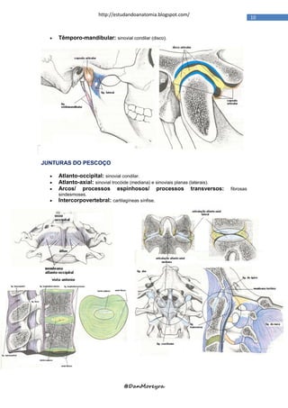 http://estudandoanatomia.blogspot.com/
                                                                                             10


     Têmporo-mandibular: sinovial condilar (disco).




JUNTURAS DO PESCOÇO

     Atlanto-occipital: sinovial condilar.
     Atlanto-axial: sinovial trocóide (mediana) e sinoviais planas (laterais).
     Arcos/ processos espinhosos/ processos transversos:                         fibrosas
      sindesmoses.
     Intercorpovertebral: cartilagíneas sínfise.




                                   @DanMoreyra
 